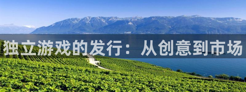 pp电子官网平台代理条件怎么样：独立游戏的发行：从创意到市场