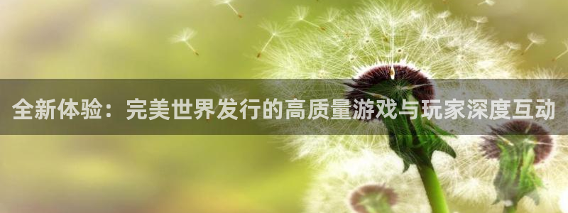 pp电子子文化创意有限公司特邀玩家：全新体验：完美世界发行的高质量游戏与玩家深度互动