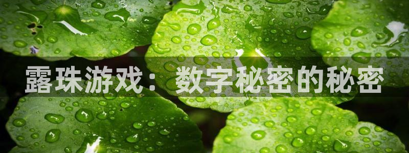 广东pp电子电商bruno：露珠游戏：数字秘密的秘密