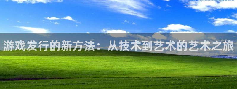 pp电子官网注册方法是什么软件：游戏发行的新方法：从技术到艺术的艺术之旅