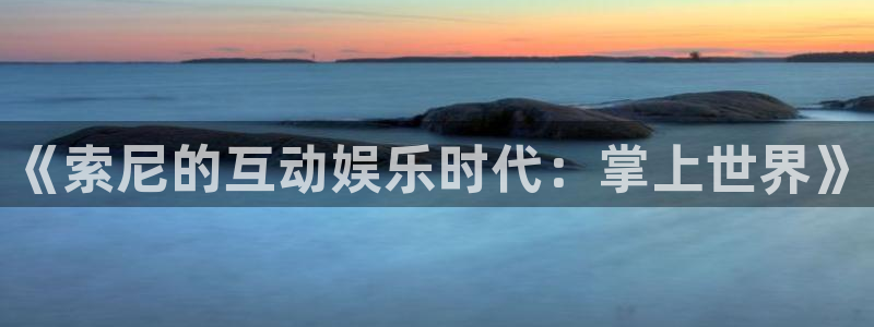 pp电子官网官网注册账号密码：《索尼的互动娱乐时代：掌上世界》