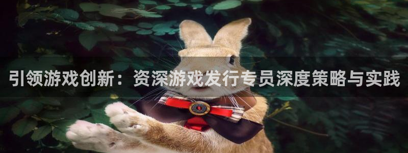 pp电子官网注册方法：引领游戏创新：资深游戏发行专员深度策略与实践