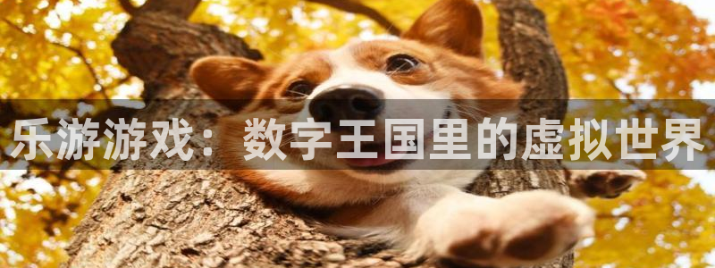 pp电子娱乐测速官网：乐游游戏：数字王国里的虚拟世界