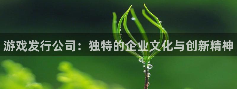 pp电子子文化有什么游戏：游戏发行公司：独特的企业文化与创新精神