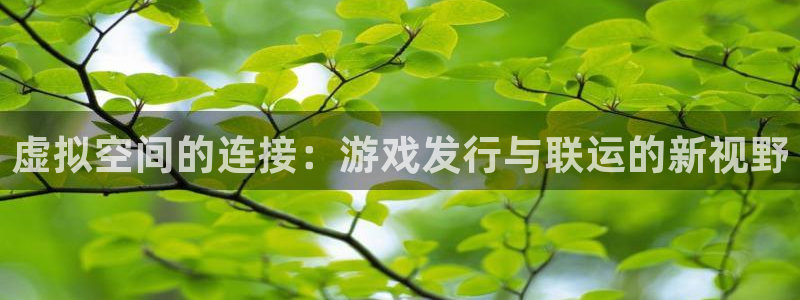 pp电子logo片头米高梅狮子：虚拟空间的连接：游戏发行与联运的新视野