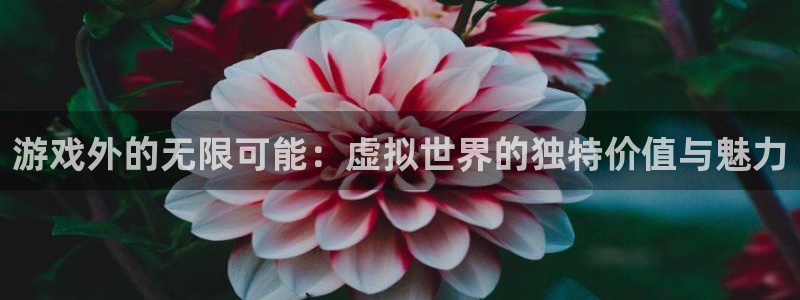 pp电子子书店：游戏外的无限可能：虚拟世界的独特价值与魅力
