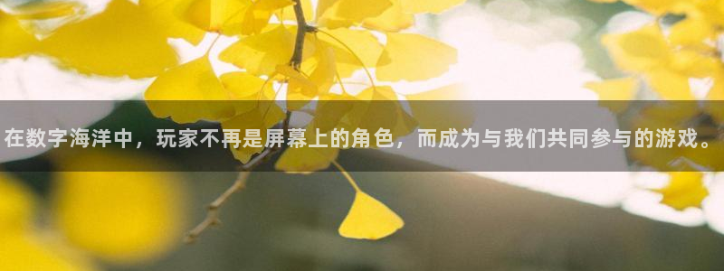 pp电子娱乐测速官网：在数字海洋中，玩家不再是屏幕上的角色，而成为与我们共同参与的游戏。