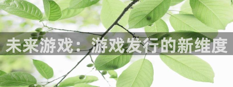 南京pp电子子电子商务有限公司