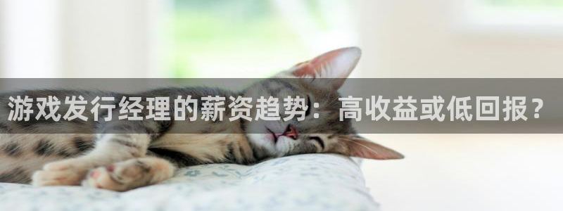 pp电子衣服怎么样