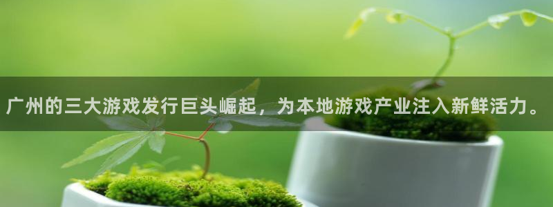 江苏pp电子智得新材料：广州的三大游戏发行巨头崛起，为本地游戏产业注入新鲜活力。