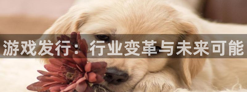 陕西pp电子子文化创意有限公司有什么游戏