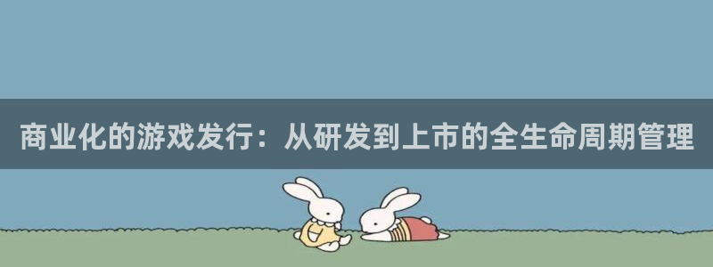 广州pp电子网络科技有限公司怎么样：商业化的游戏发行：从研发到上市的全生命周期管理