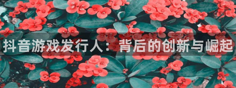 pp电子庄园：抖音游戏发行人：背后的创新与崛起