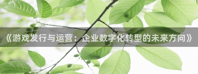 pp电子官网注册登录：《游戏发行与运营：企业数字化转型的未来方向》