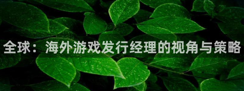 pp电子子文化创意有限公司：全球：海外游戏发行经理的视角与策略
