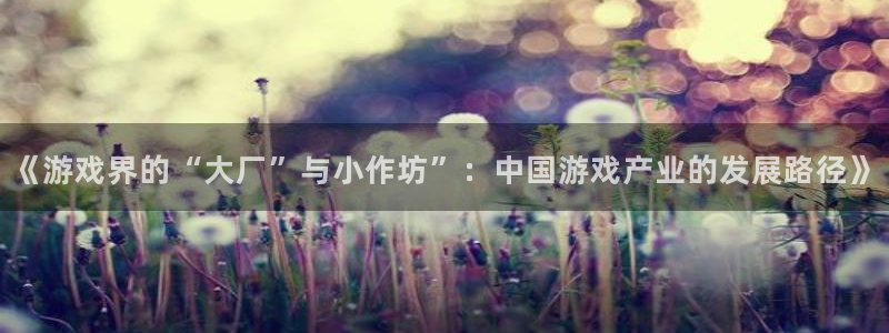 pp电子酒庄：《游戏界的“大厂”与小作坊”：中国游戏产业的发展路径》