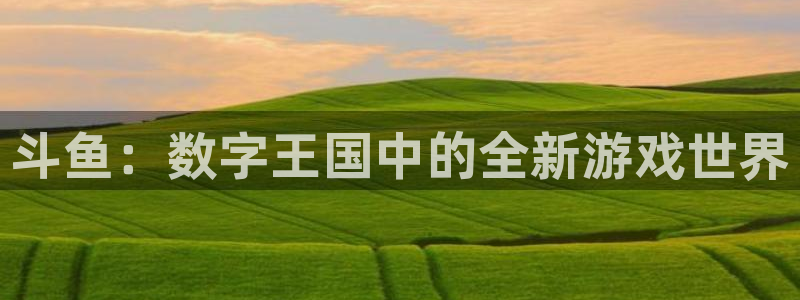 广东pp电子电子商务有限公司：斗鱼：数字王国中的全新游戏世界