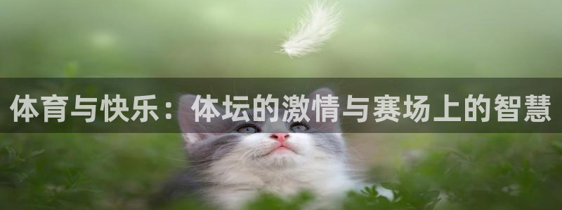 k1体育十年登录入口：体育与快乐：体坛的激情与赛场上的智慧