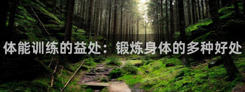 k1体育平台3915：体能训练的益处：锻炼身体的多种好处