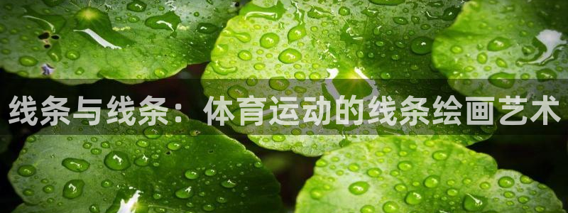 k1体育链接：线条与线条：体育运动的线条绘画艺术