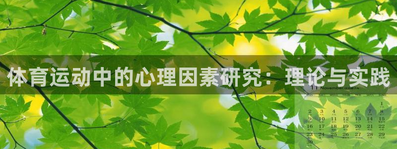 k1体育平台3915：体育运动中的心理因素研究：理论与实践