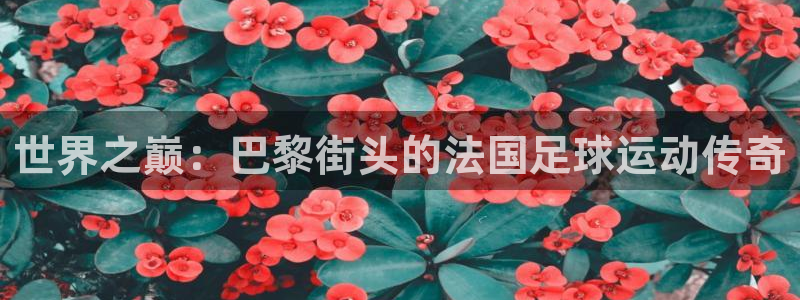 帮k1体育在线登录：世界之巅：巴黎街头的法国足球运动传奇