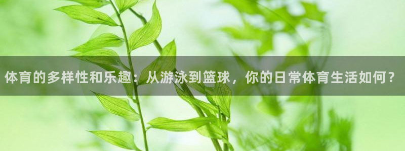 k1体育app官网登录入口：体育的多样性和乐趣：从游泳到篮球，你的日常体育生活如何？