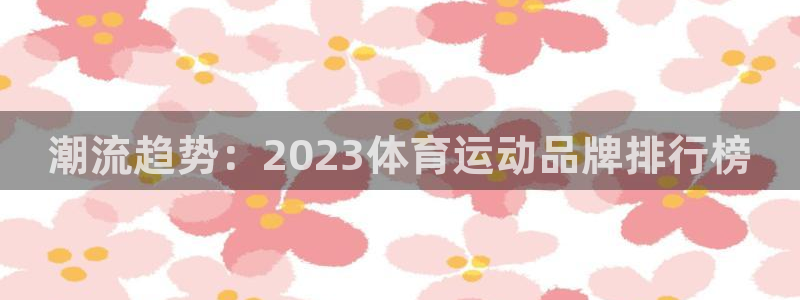 k1体育棋牌：潮流趋势：2023体育运动品牌排行榜